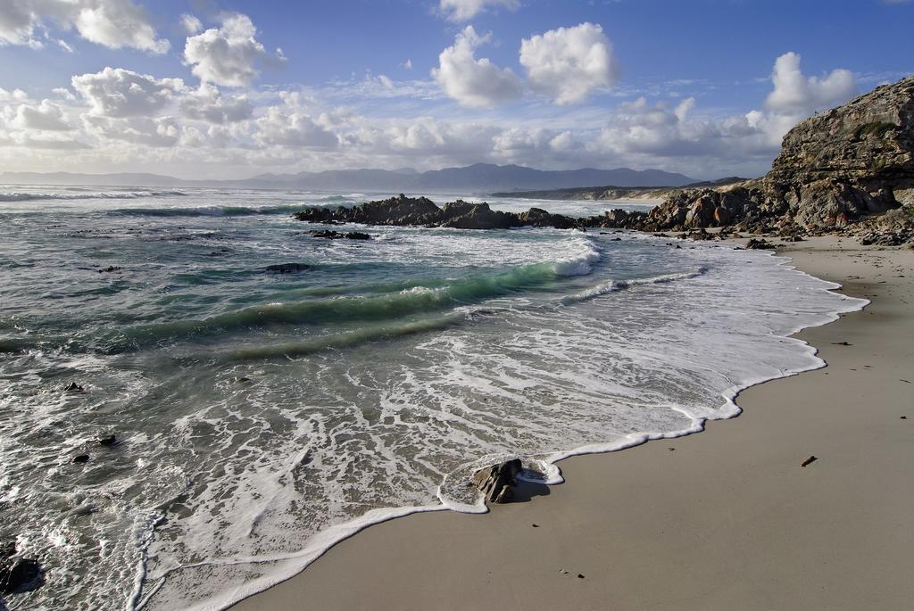 Grootbos Private Nature Reserve Hotel Gansbaai Luaran gambar